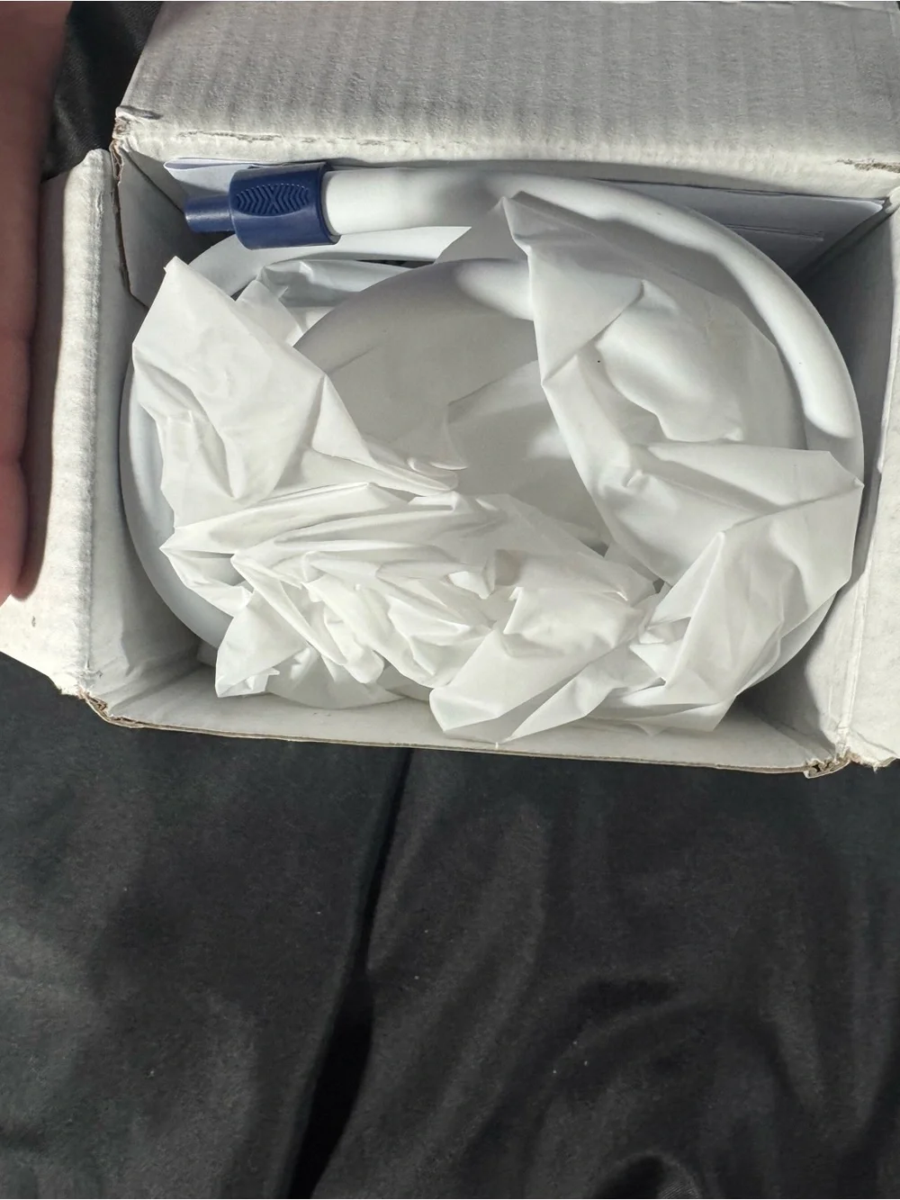 N/A white pet